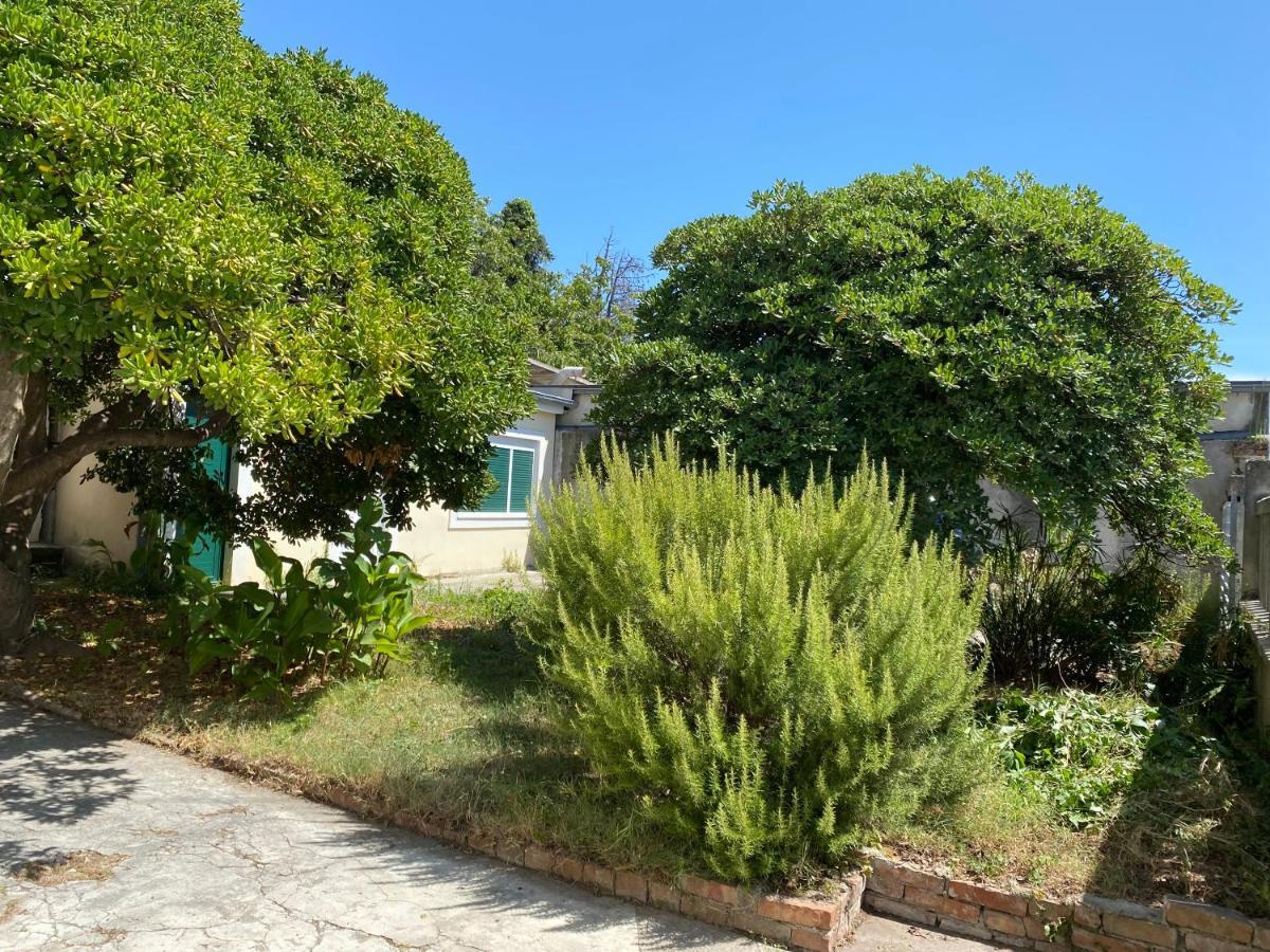 Ferienwohnung Zadar-City Exteriér fotografie